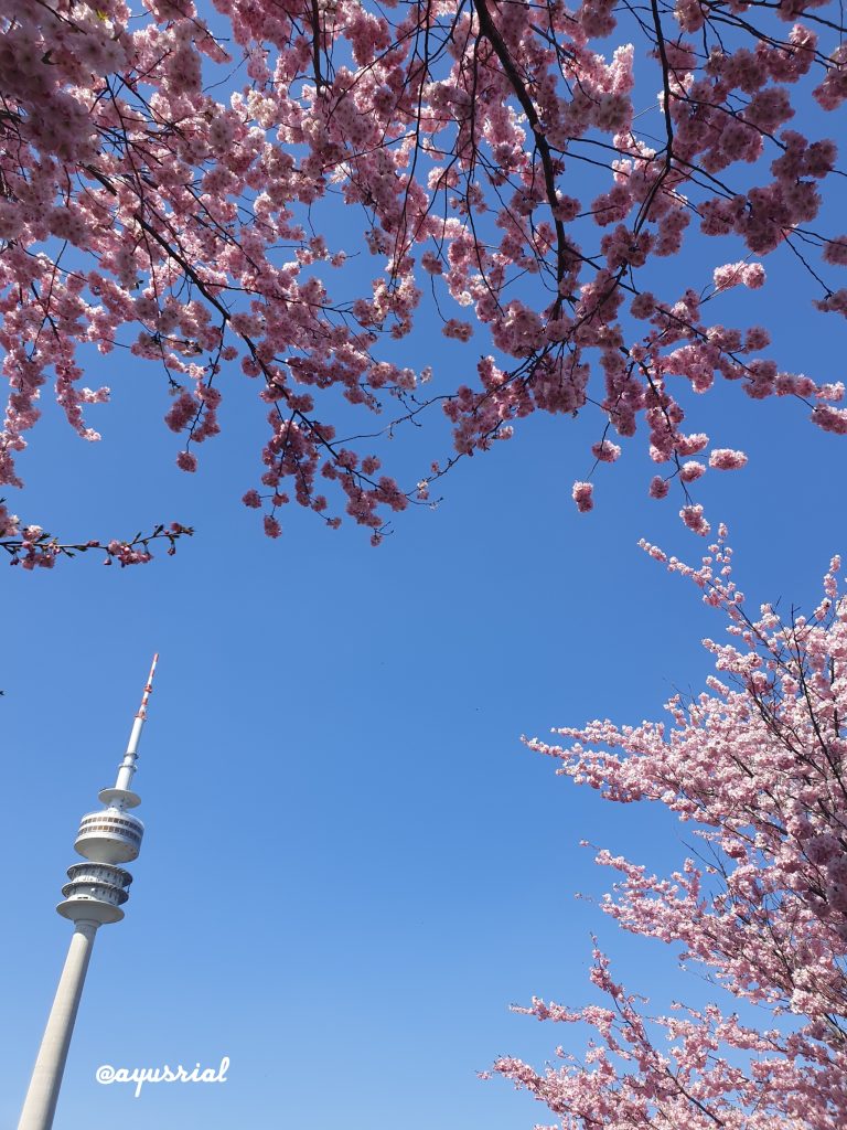 Spring and Olympiaturm