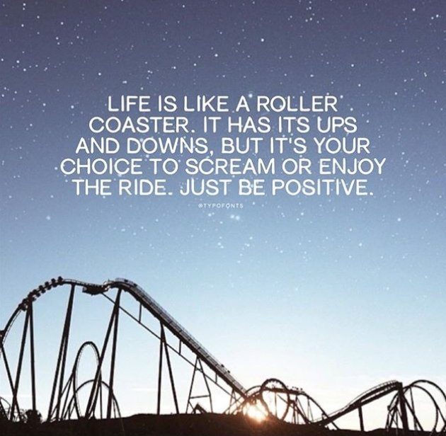 roller coaster life
